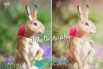 复活节复古照片调色lightroom预设Easter Vintage LR Preset Bundle - CM 177780