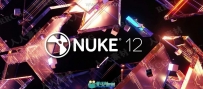 Nuke Studio影视后期特效合成软件12.2v3版