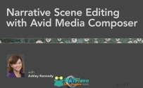 《Avid叙事节奏剪辑技巧视频教程》Lynda.com Narrative Scene Editing with Avid M...