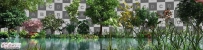 2套写实的精品植物树木水草3Dmax模型