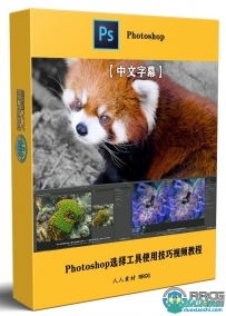 Photoshop 2023选择工具使用技巧视频教程