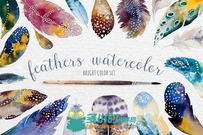 水彩画羽毛平面素材合辑Watercolor feathers Bundle