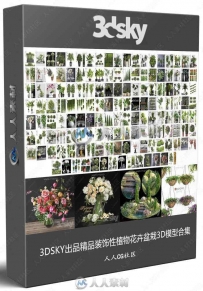 3DSKY出品精品装饰性植物花卉盆栽3D模型合集