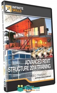 Revit Structure 2014高级技能训练视频教程