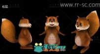 超可爱的松鼠3D模型