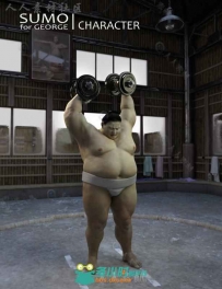 强壮的男性相扑选手3D模型合辑