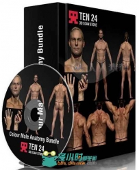 完整男性解剖高精3D模型 3dscanstore Colour Male Anatomy Bundle 01