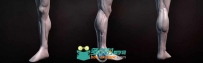 ZBrush人类腿部雕刻视频教程
