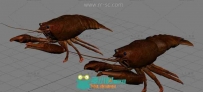 写实小龙虾3D模型