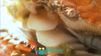 年糕炒蟹实拍视频素材