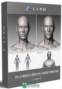 ZBrush真实白人男性女性人体解剖3D模型合集