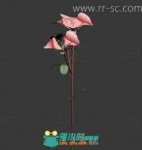 现代美丽优雅的花朵3D模型