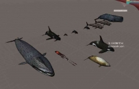 Unity3d海底世界动物鱼模型Rigged Sea Animals