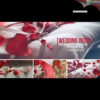 玫瑰花瓣婚礼片头展示AE模板