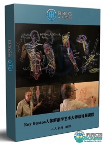 Rey Bustos人体解剖学艺术大师级视频课程三部曲合集
