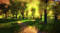 Unity3D场景 森林 树木自然风景环境