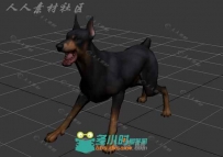 现实凶猛的狗3D模型带动画