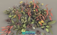 50多组PBR植物网格品种3D模型 Unity游戏素材资源