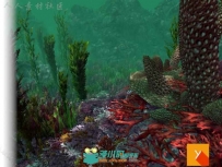 丰富多彩和活泼的水下植物环境3D模型Unity游戏素材资源