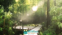 美丽中国旅游宣传片精剪版高清实拍视频素材
