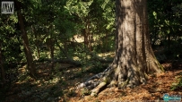 逼真阔叶树森林生物群落环境Unreal Engine游戏素材资源