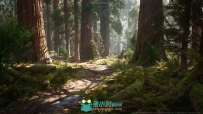 红杉树森林场景环境UE4游戏素材资源