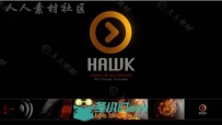 简洁大方科技感镜面转动标志展示LOGO演绎AE模板 Videohive Hawk Logo 19866869