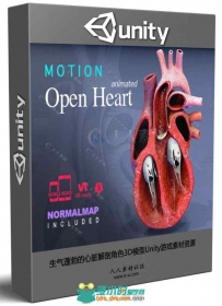 生气蓬勃的心脏解剖角色3D模型Unity游戏素材资源