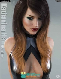 女性美丽飘逸的长发的颜色3D模型合辑