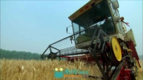 农田机械收割田地水果蔬菜海产品视频素材