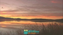 湖边日出收割水稻黄昏日落高清实拍视频素材