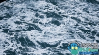 18组高品质海洋海水泡沫纹理贴图合集