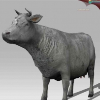 动物牛写实3D模型 带绑定贴图