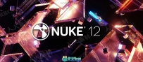 Nuke Studio影视后期特效合成软件12.2v4版