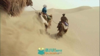 沙漠骆驼队高清实拍视频素材