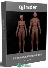 男性女性身体低聚基础3D模型+骨骼绑定