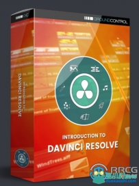 DaVinci Resolve色彩校正视觉效果高效技巧视频教程