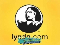 《电影电视摄像机拍摄基础教程》Lynda.com Fundamentals of Video