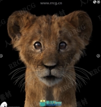 动物狮子可爱幼崽3D模型合集