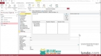 Lynda Access 2013 Essential Training Access数据库基础 训练 （英文..