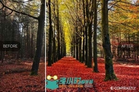 秋天的收货照片调色Lightroom预设CM - Autumn & Harvest Lightroom Presets