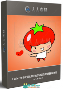 Flash CS6中文版从零开始学初级到高级班视频教程