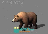 现实凶猛大棕熊3D模型带动画