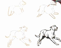 50种狗的绘画方法 国外手绘教程及猫星人画法参考