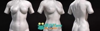 ZBrush 4R6女性角色躯干雕塑视频教程
