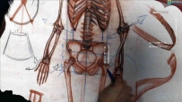 艺用人体解剖结构完整剖析3-百度网盘4.09G