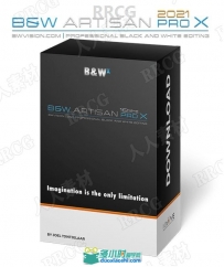 BW Artisan Pro X黑白明度控制扩展面板PS插件V2021版
