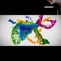 彩色流体logo展示动画AE模板