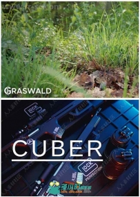 Graswald Cuber Add-on植物与斜角Blender插件