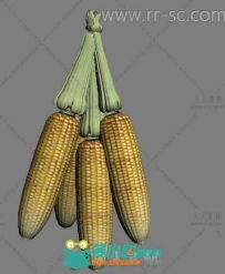 精选玉米3D模型